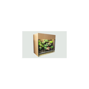 Exclusive Rainforest Line