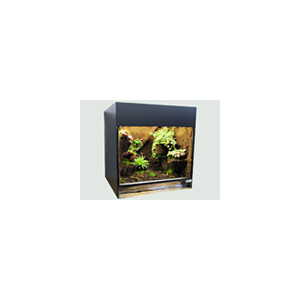 Jungle Terrarium Compact
