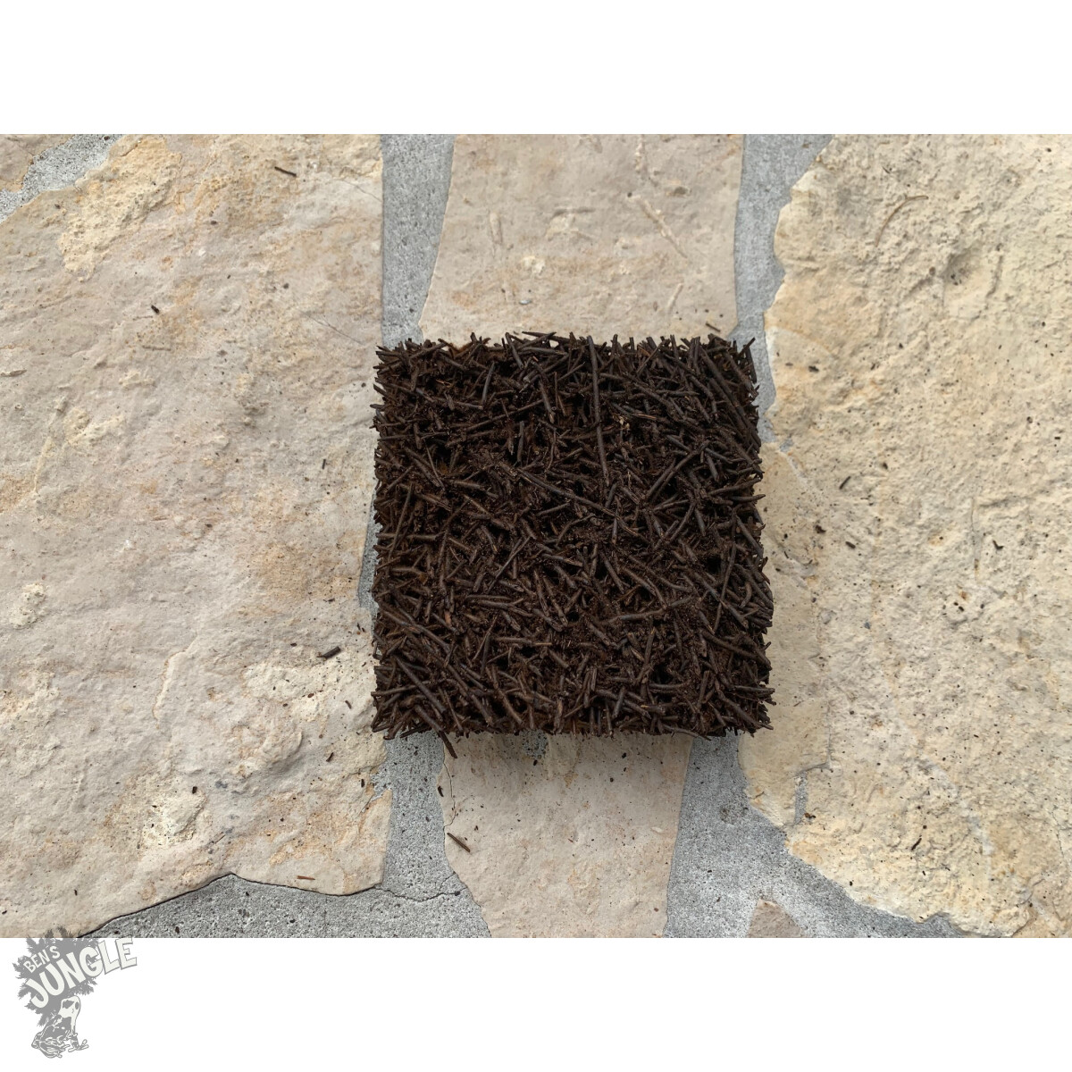 Xaximplatten 10x10x3cm  (grobe Struktur)