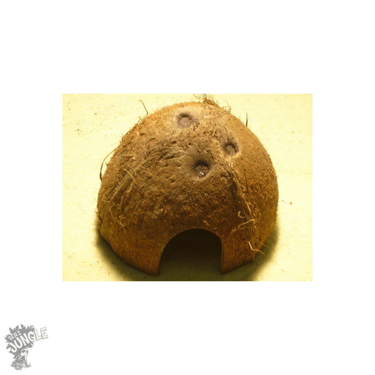 Kokosnusschale (Laichhäusschen)