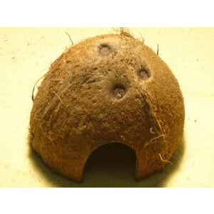 Kokosnusschale (Laichhäusschen)