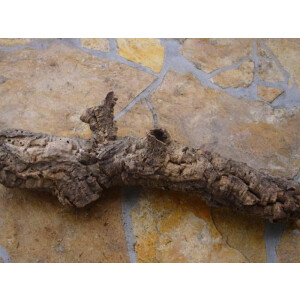 Naturkork - Röhren 20 bis 50cm