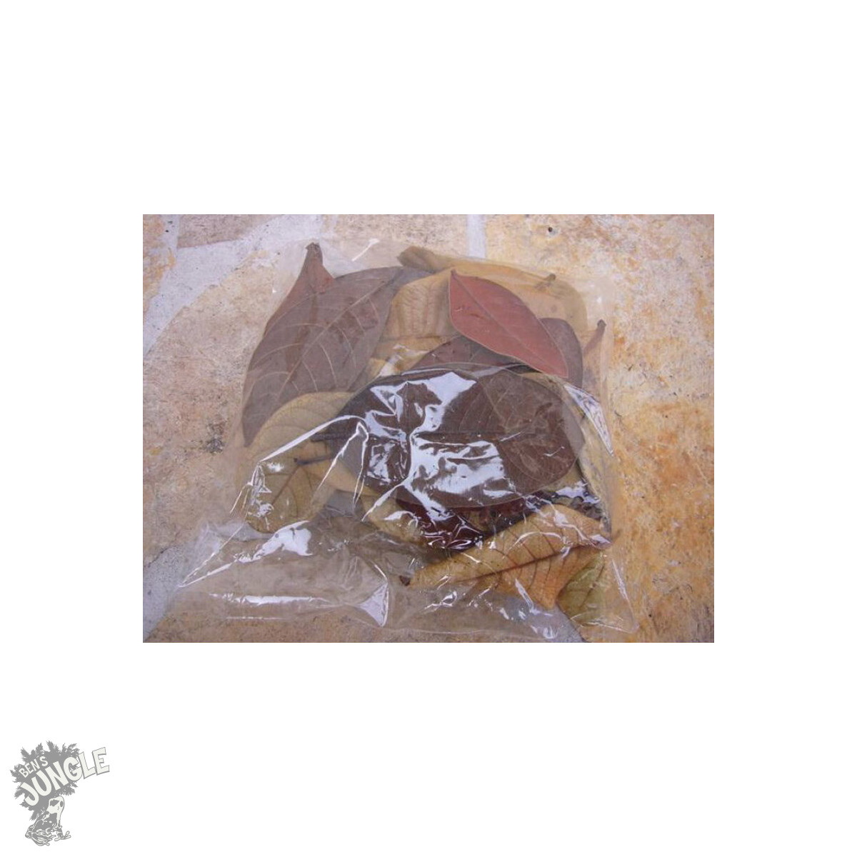 60 Blätter ( ca. 4 bis 9cm )