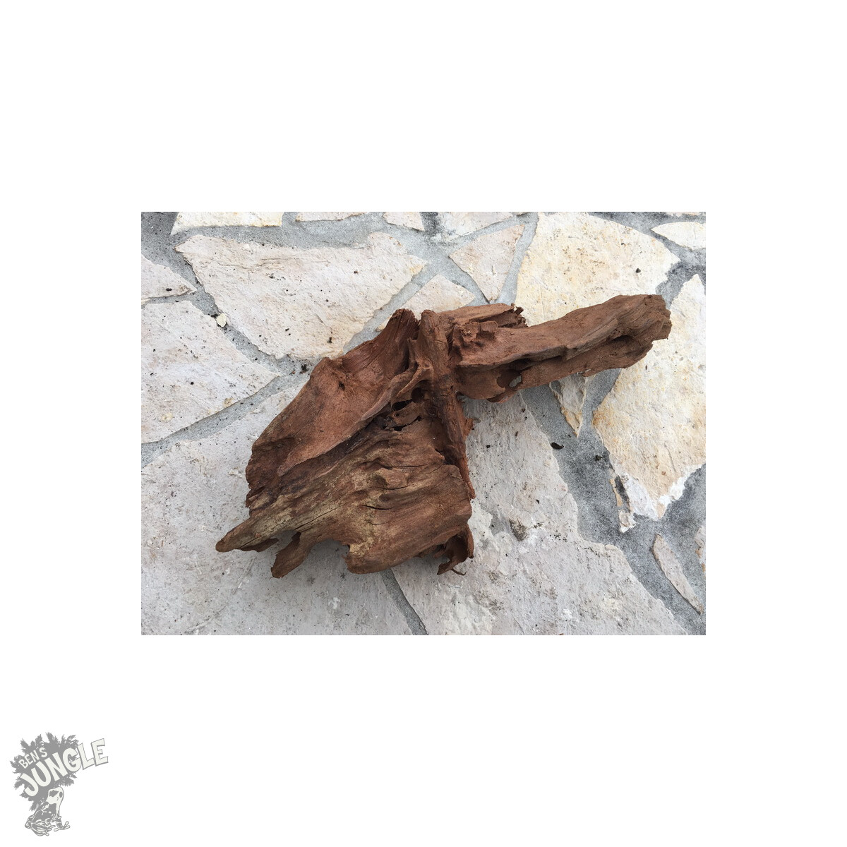 Mangrovenwurzel ca. 20cm