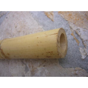 Bambus gelb 50cm