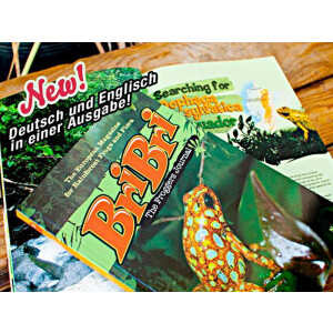 BriBri - The Froggers Journal No. 1