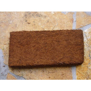 10 Xaximplatten 10x25x2cm 