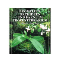 Bromelien, Orchideen und Farne im Tropenterrarium