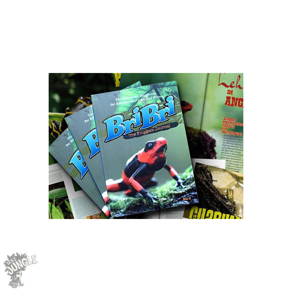 BriBri - The Froggers Journal No. 2
