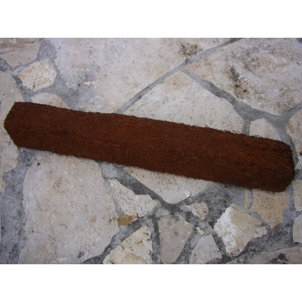 Xaximstamm 30,40,50cm Länge 3cm dick