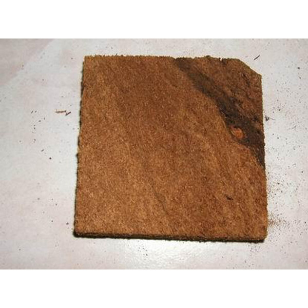 Ben´s Torfplatten für die Zucht von Springschwänzen