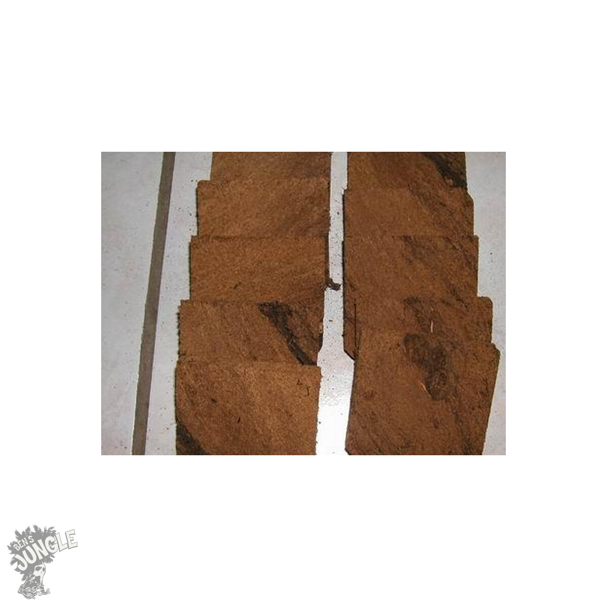 10 Torfplatten für die Springschwanzzucht