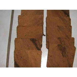 10 Torfplatten für die Springschwanzzucht