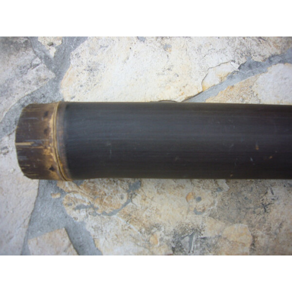 Schwarzer Bambus
